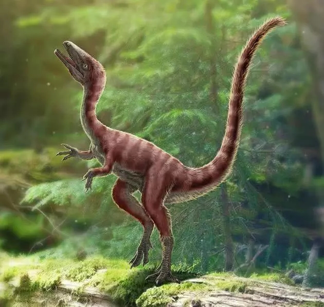 河北发现1.2亿年前恐龙新物种：吃肉 迅猛 大小如公鸡